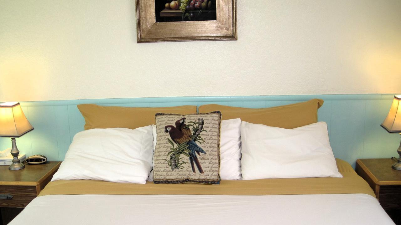 Rocket Inn Трут-ор-Консекуэнсес Экстерьер фото
